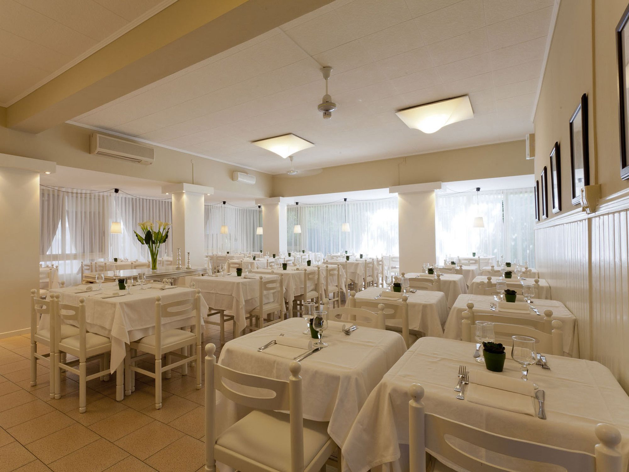 Hotel Alta Maarea