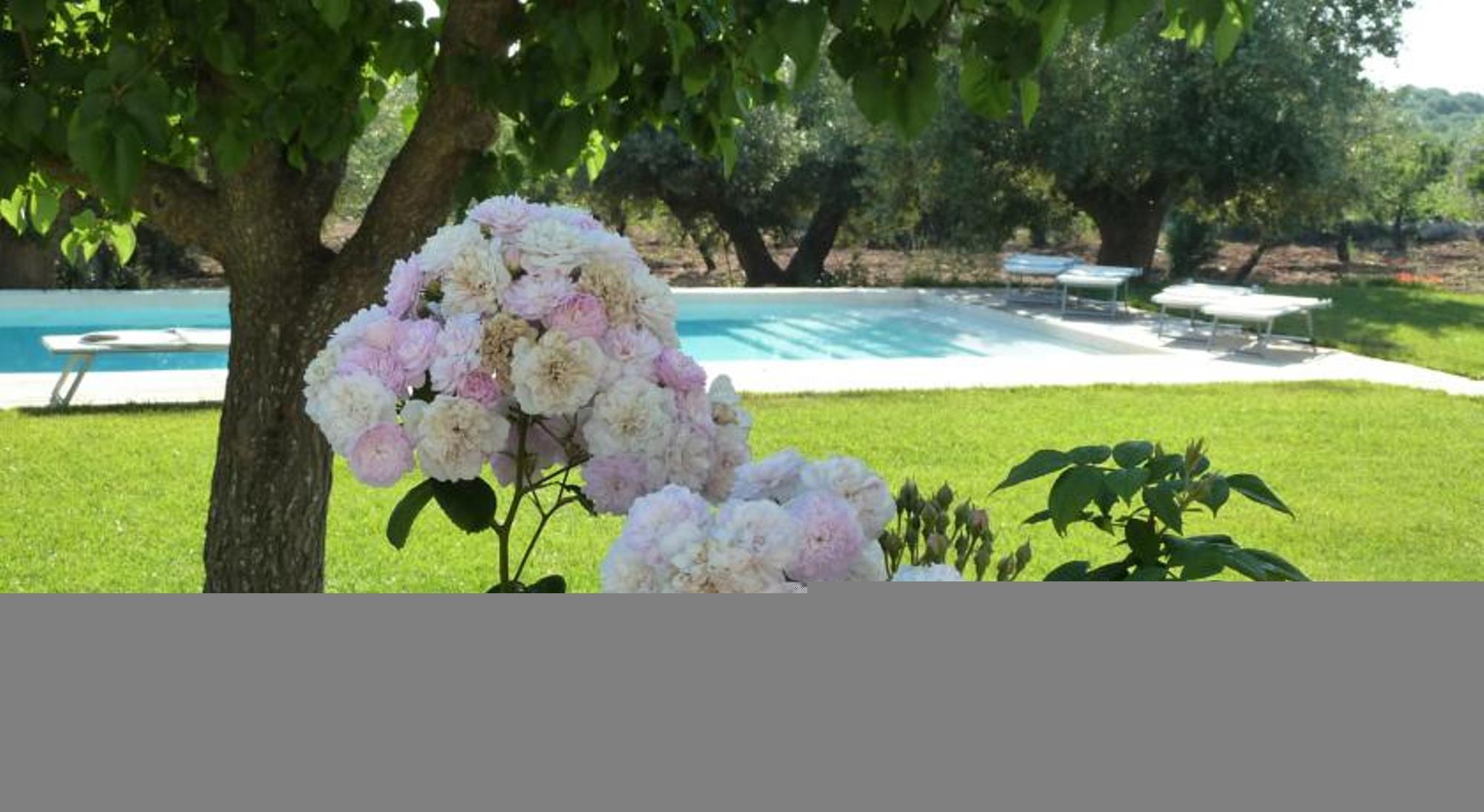 B&B Don Giovanni
