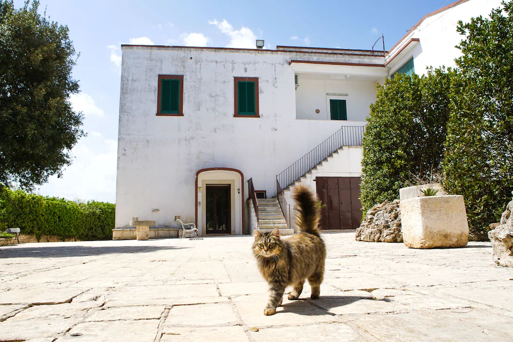 Masseria Guadiano Vecchio