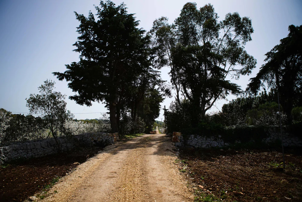 Masseria Guadiano Vecchio