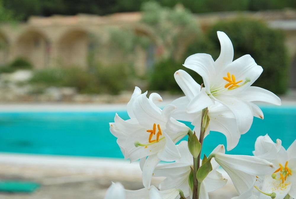 Masseria Santa Teresa
