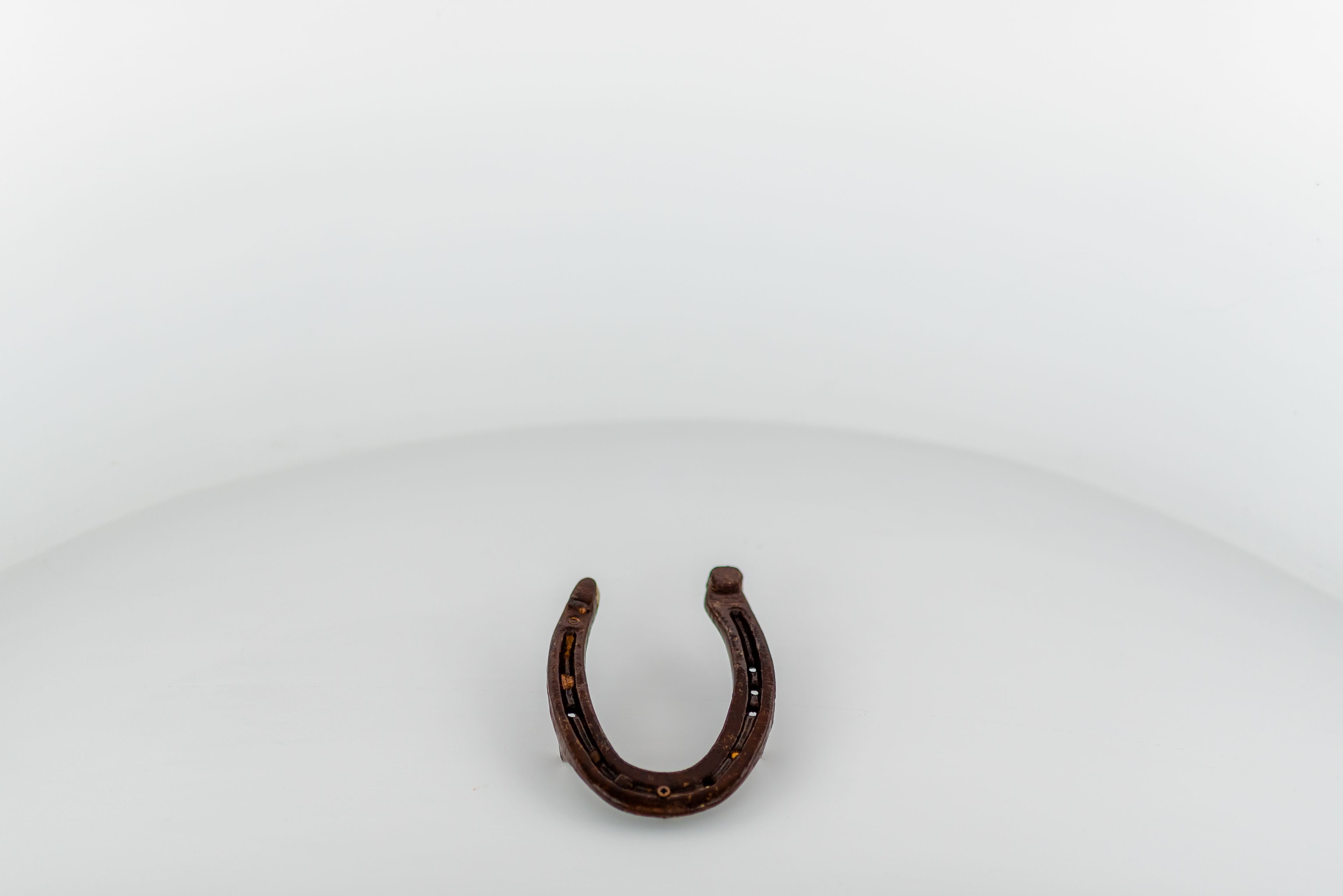 Tortorella