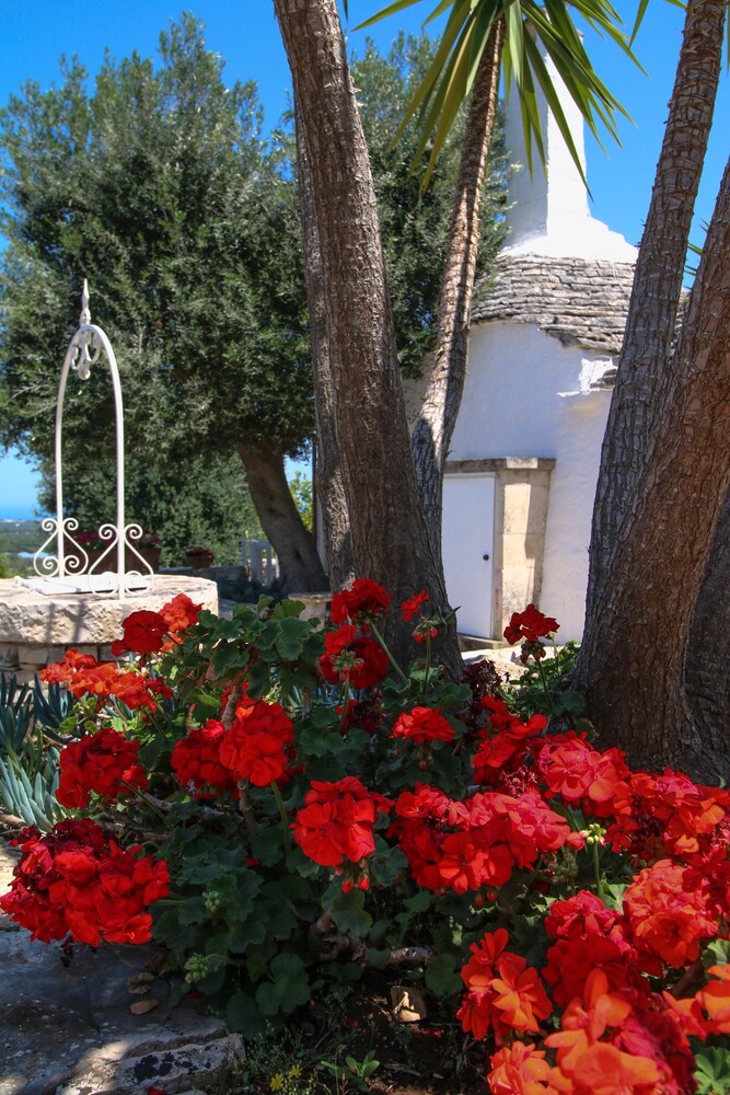 Trulli & Dimore