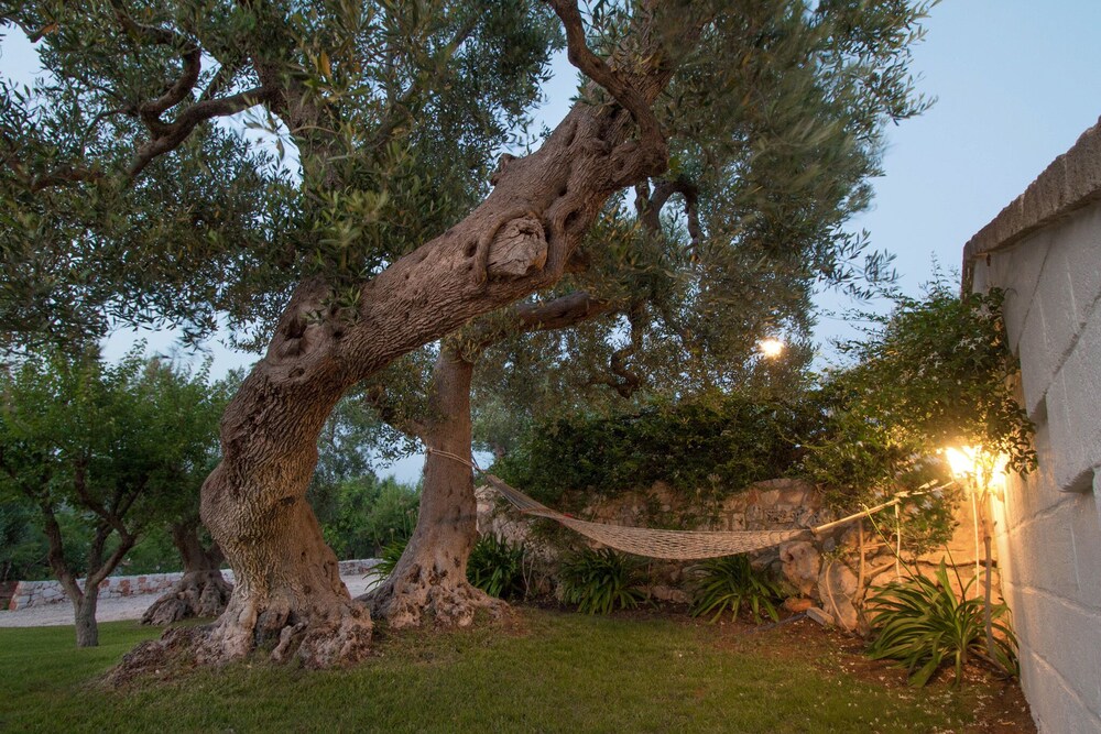 Trulli Di Bouganville