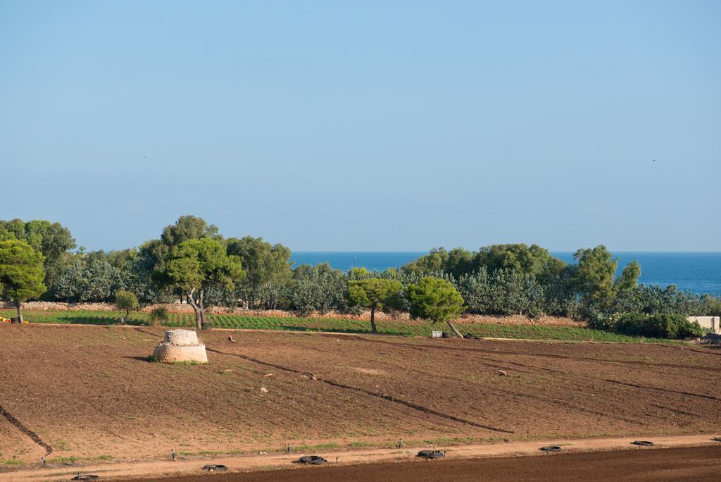 Corvino Resort