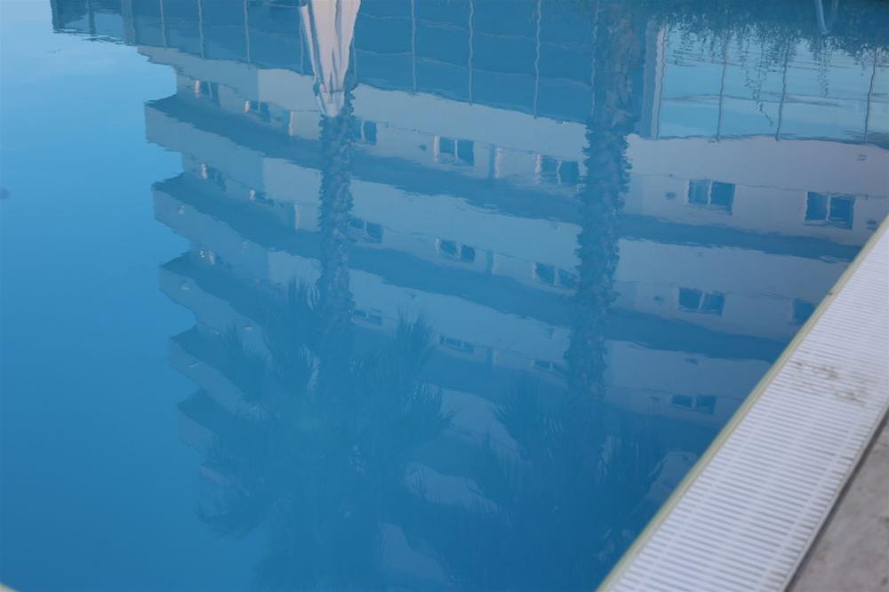 Sea Lion Hotel