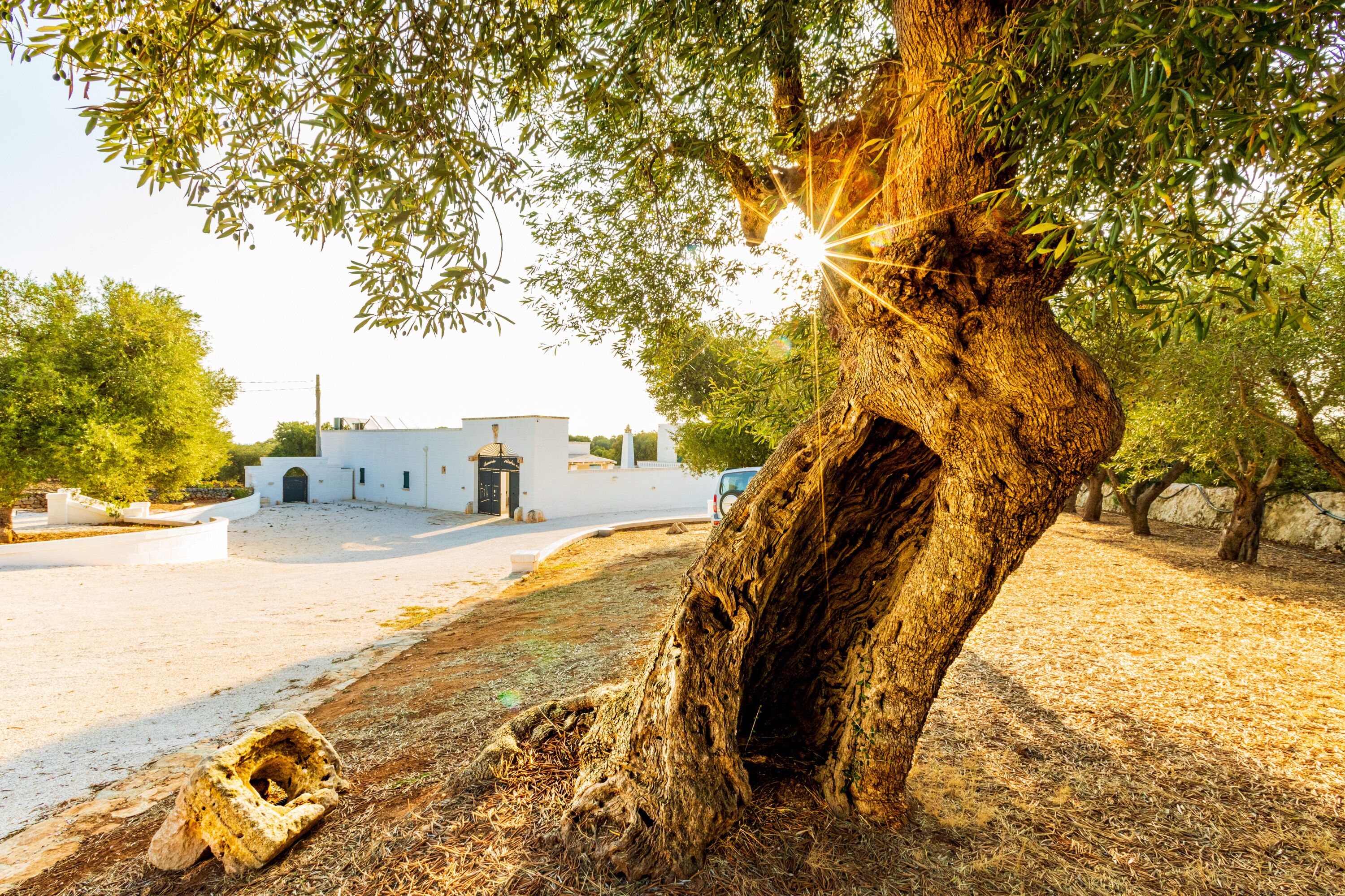 Masseria Abadia Uno