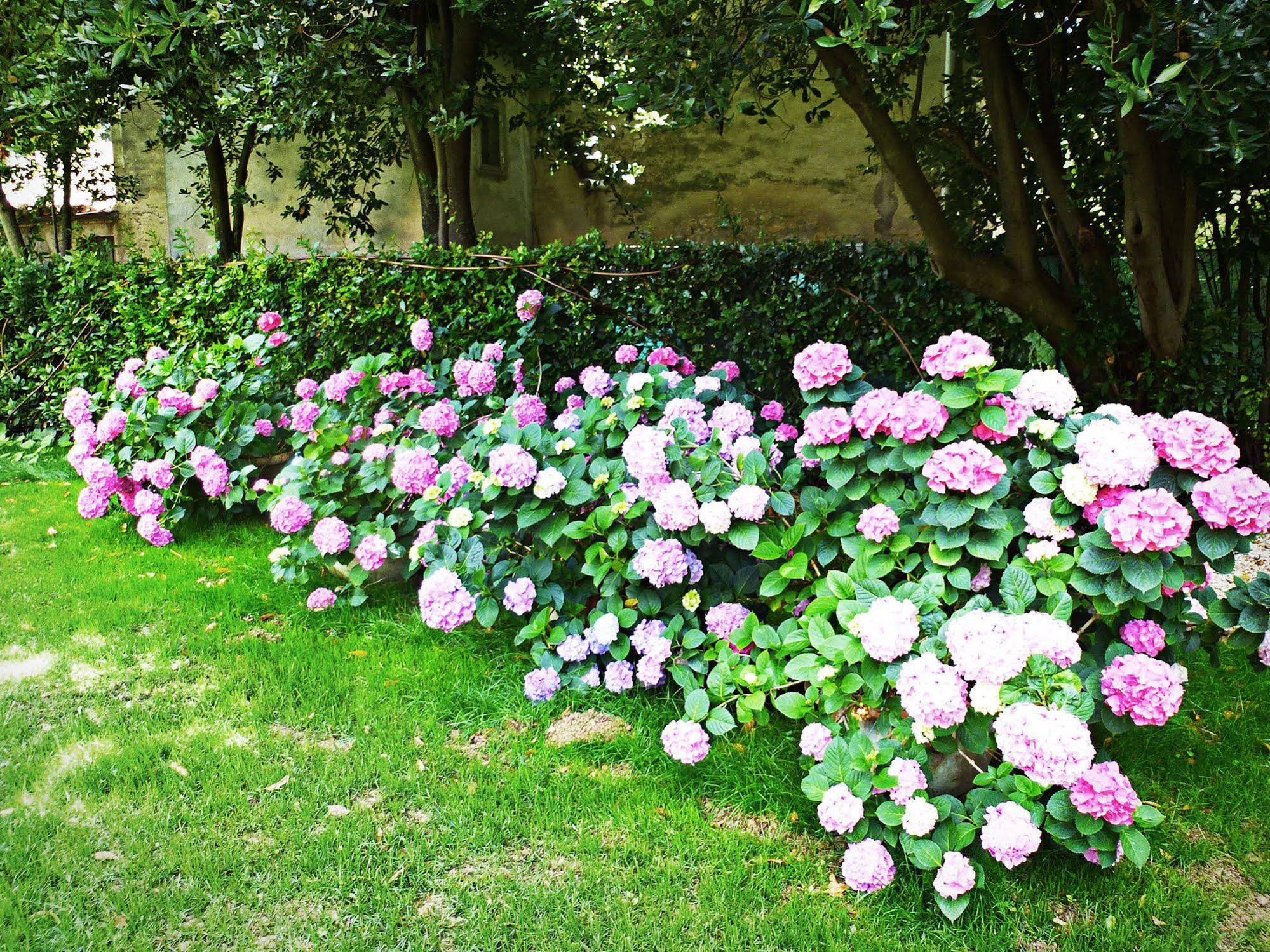 Casa Ezelina Bed & Breakfast Apartments