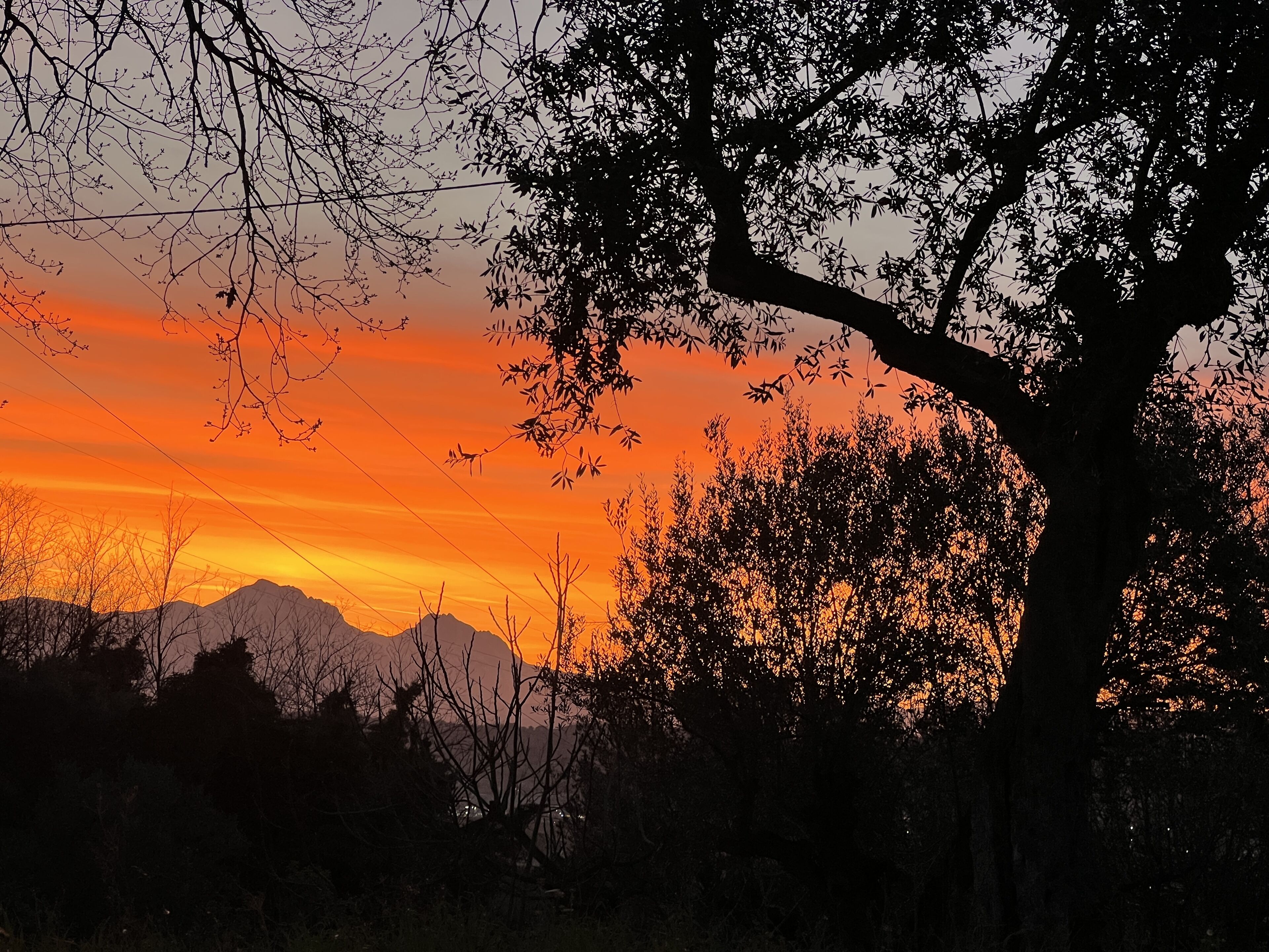 Peperosa In Collina Luxury B&B