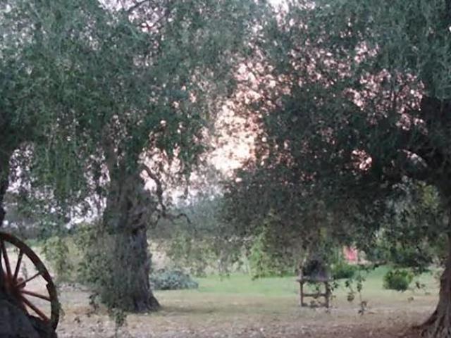 La Piana Di Calena