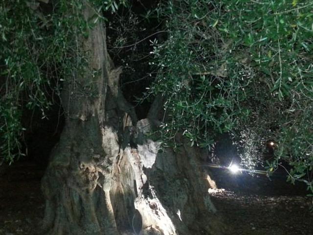 La Piana Di Calena
