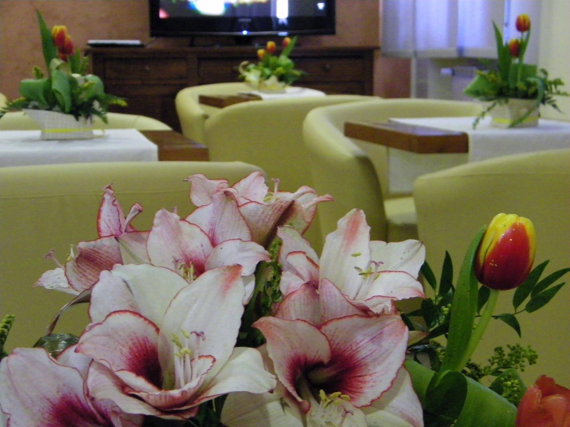 Hotel Maria