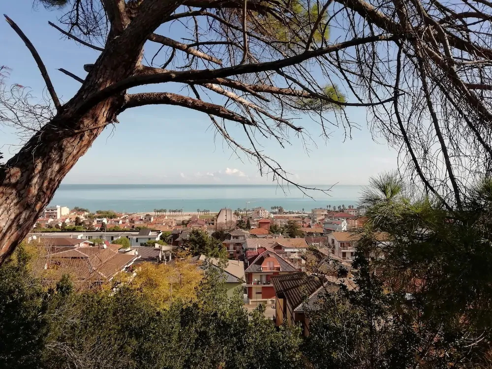 B&B Orizzonti