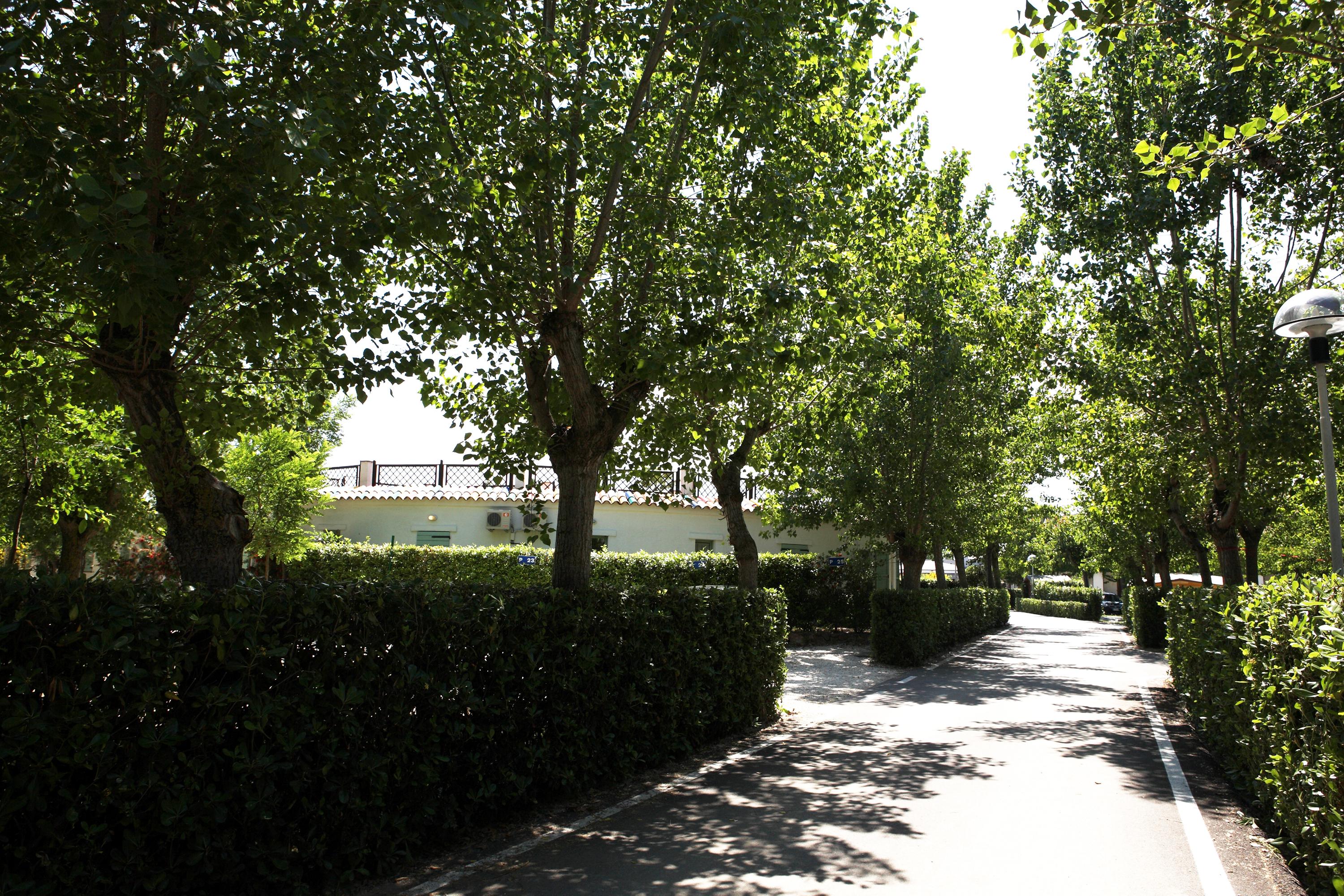Club del Sole Le Mimose Family Resort