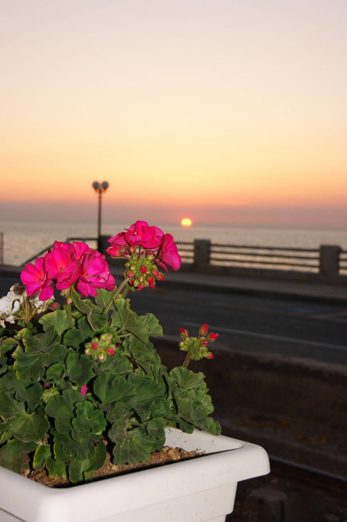 Albergo Residence Villa a Mare