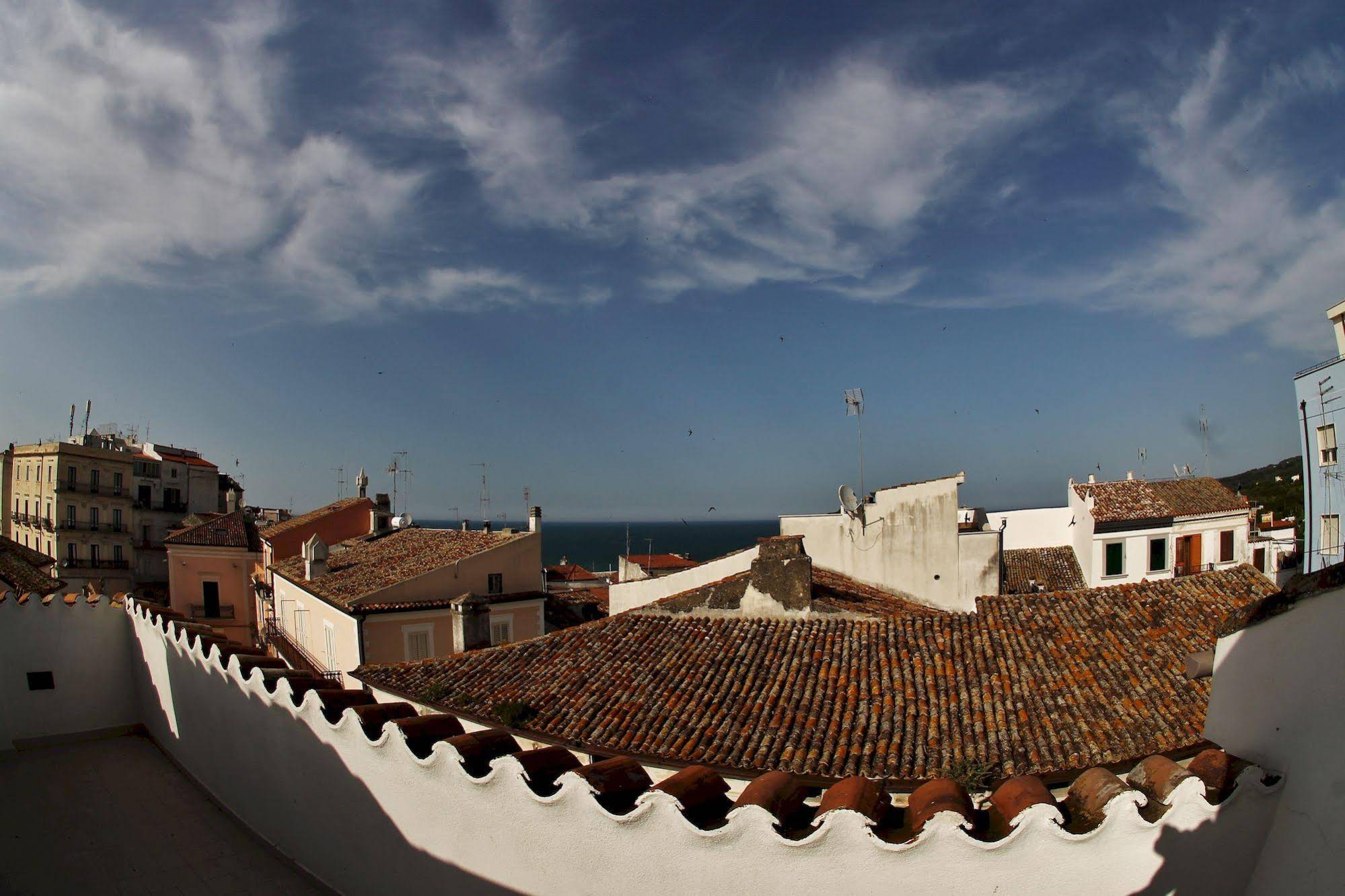 Edificio 15 House Elite