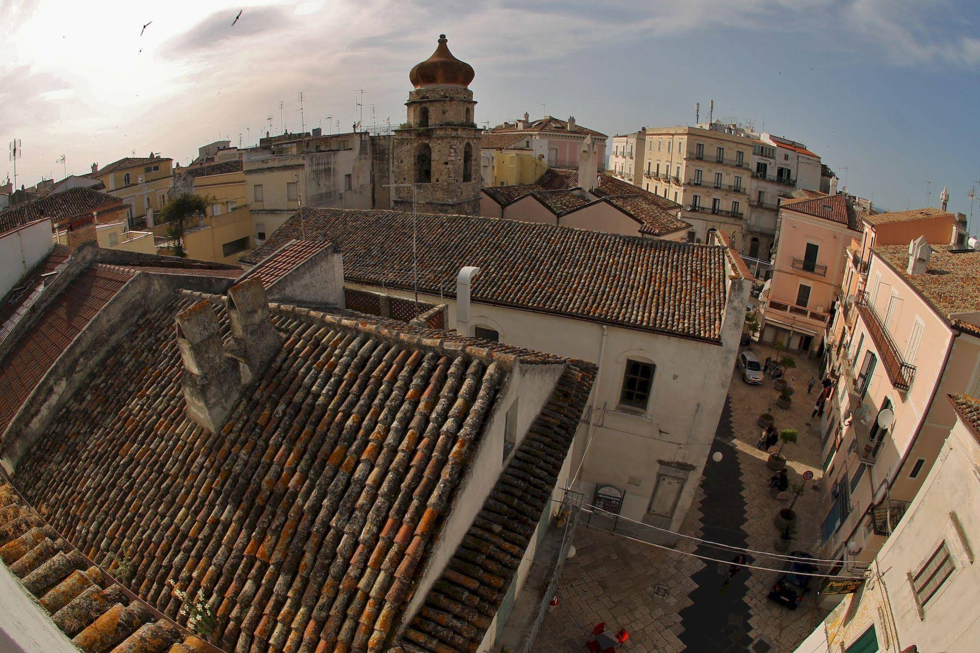 Edificio 15 House Elite