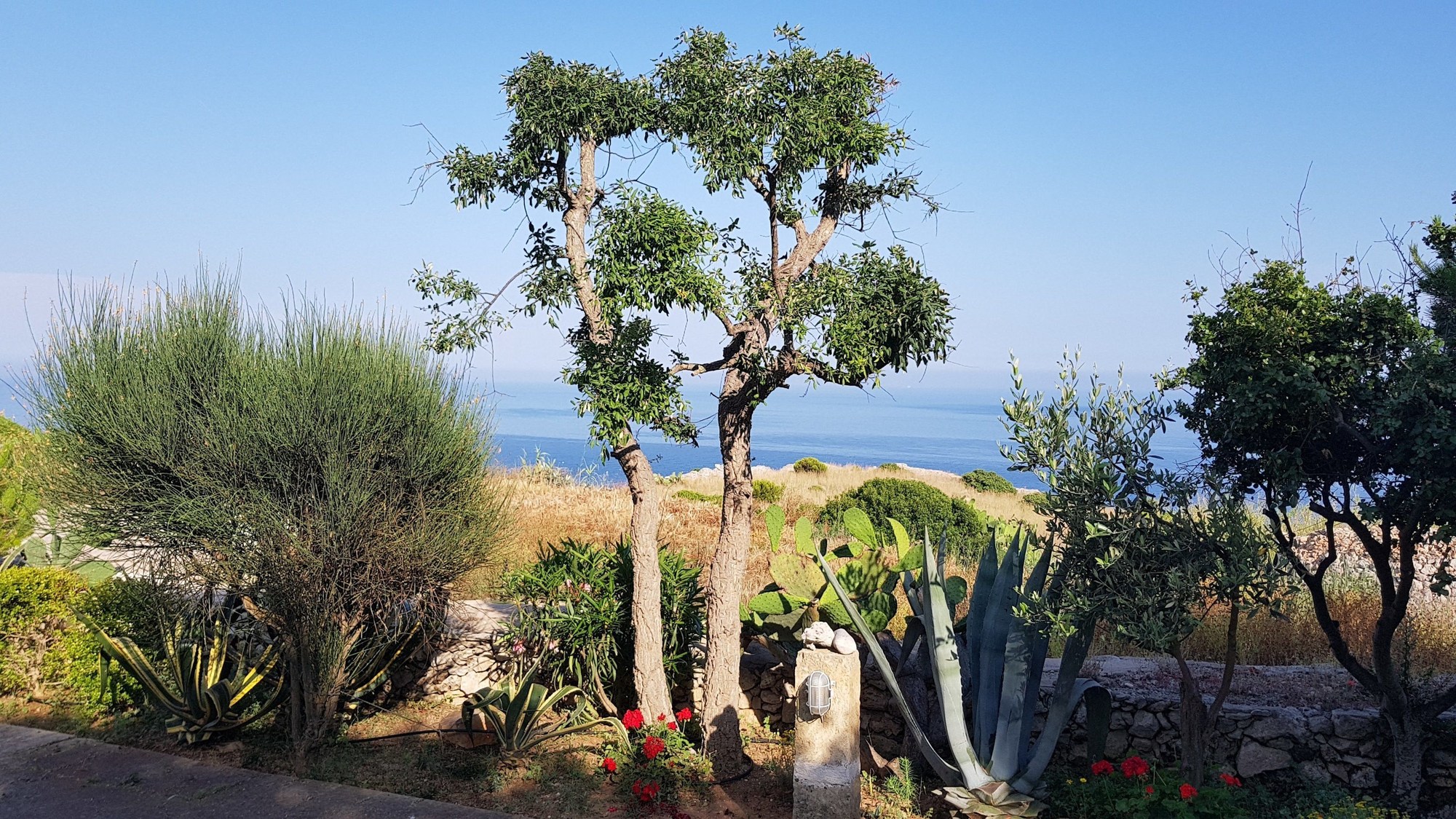 Villa Tina Ai Piedi Del Faro