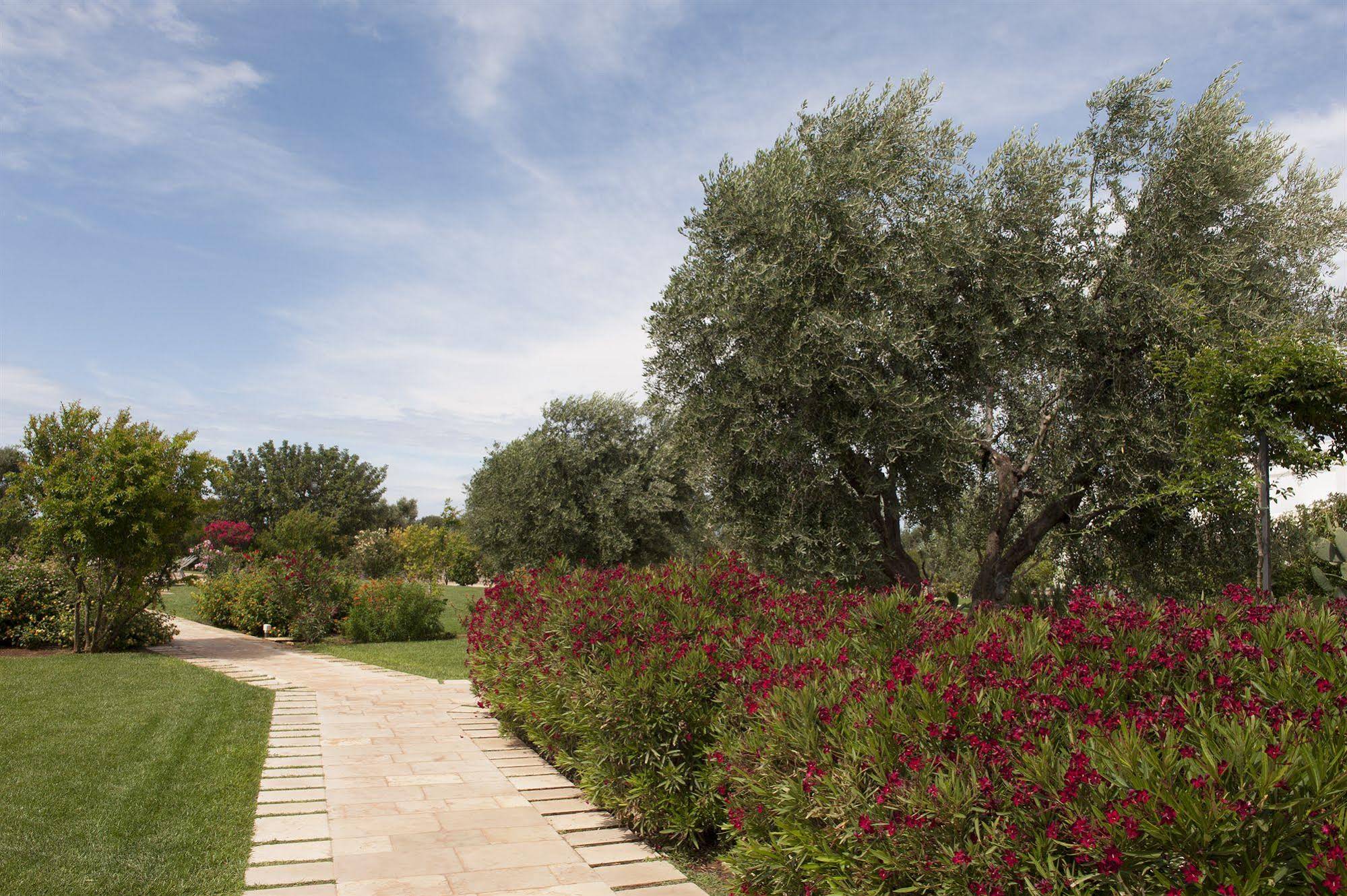 Masseria Don Luigi
