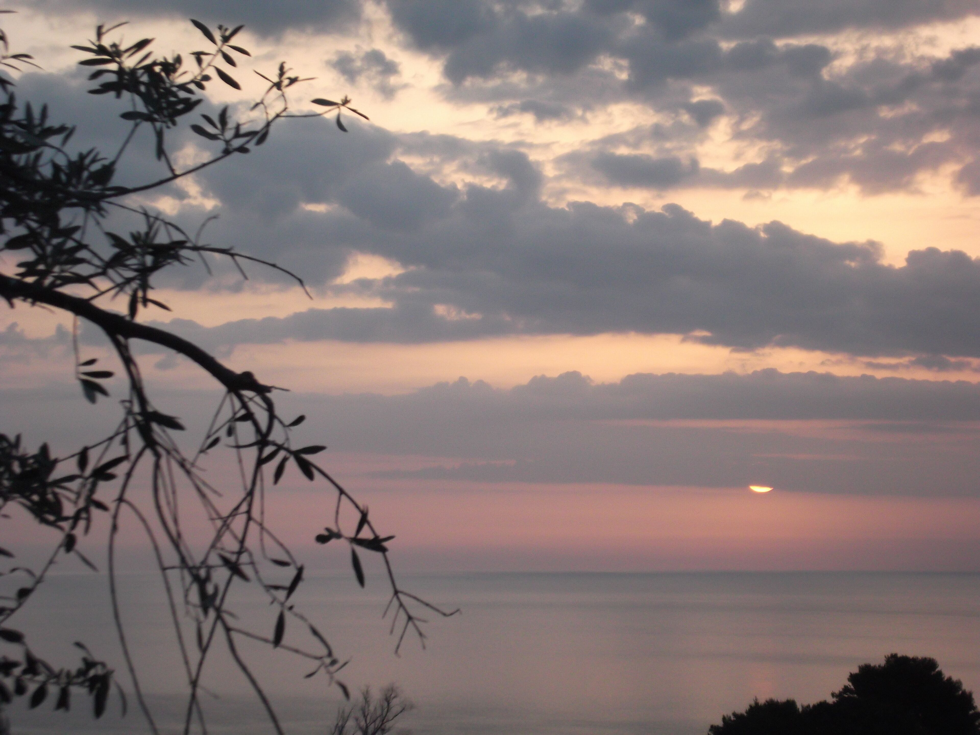 Il Podere Sul Mare