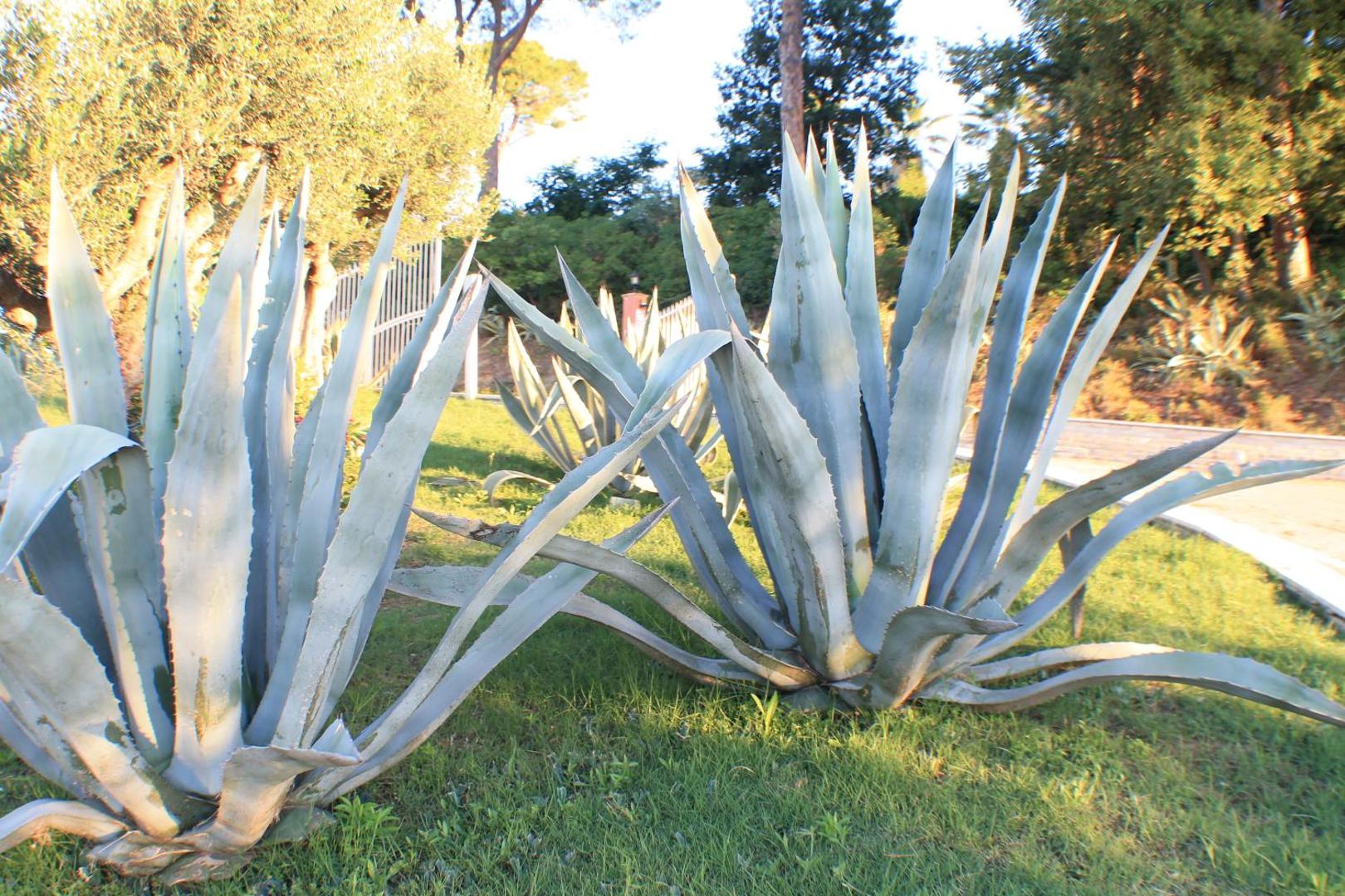 Il Parco sul Mare Resort & Spa