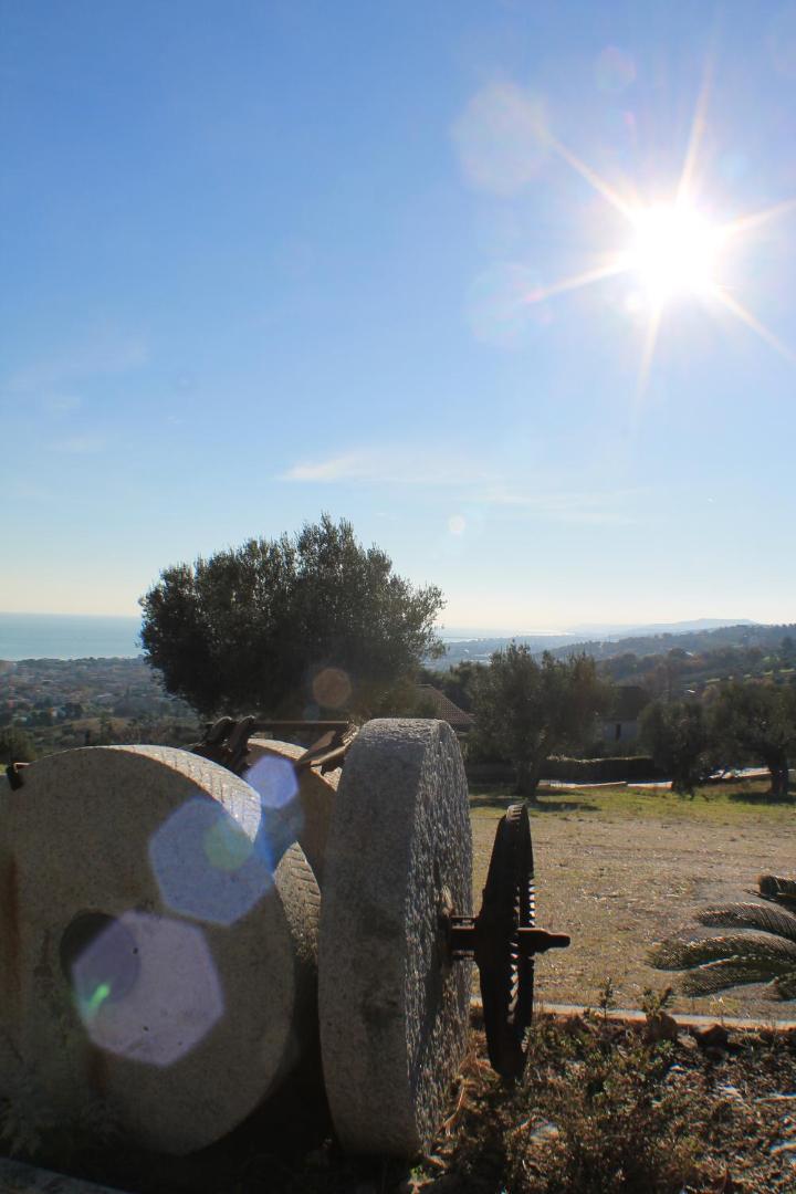 Il Parco sul Mare Resort & Spa