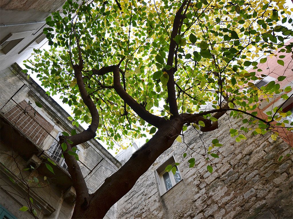 Suite Home Old Town