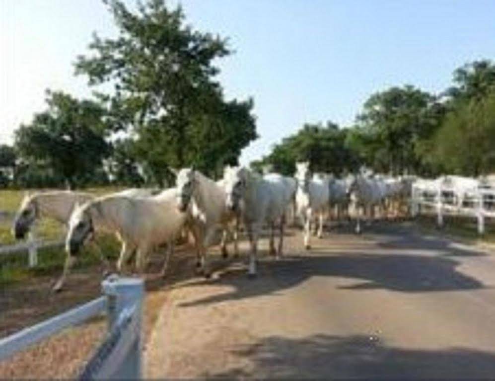 Mary Poppins's House