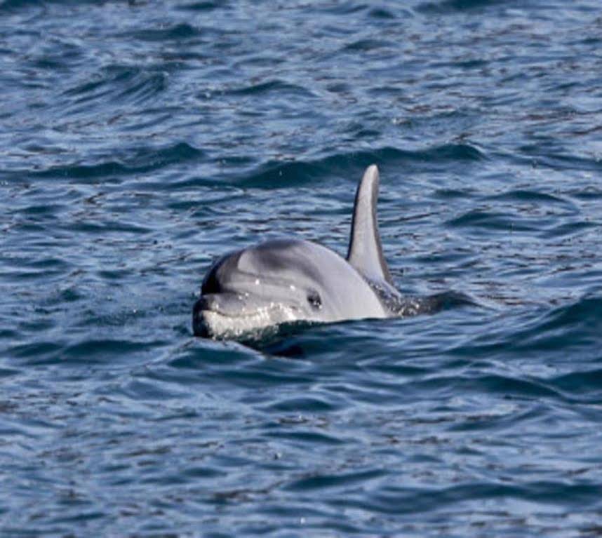 Mary Poppins's House