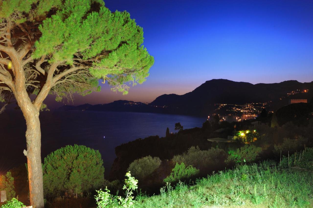 Hotel Il Pino