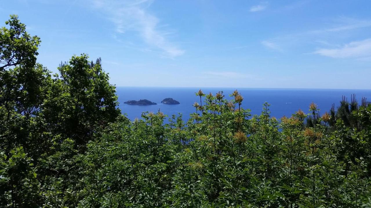 La Perla