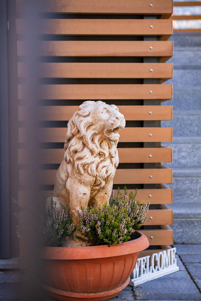 Le Lion Apartments