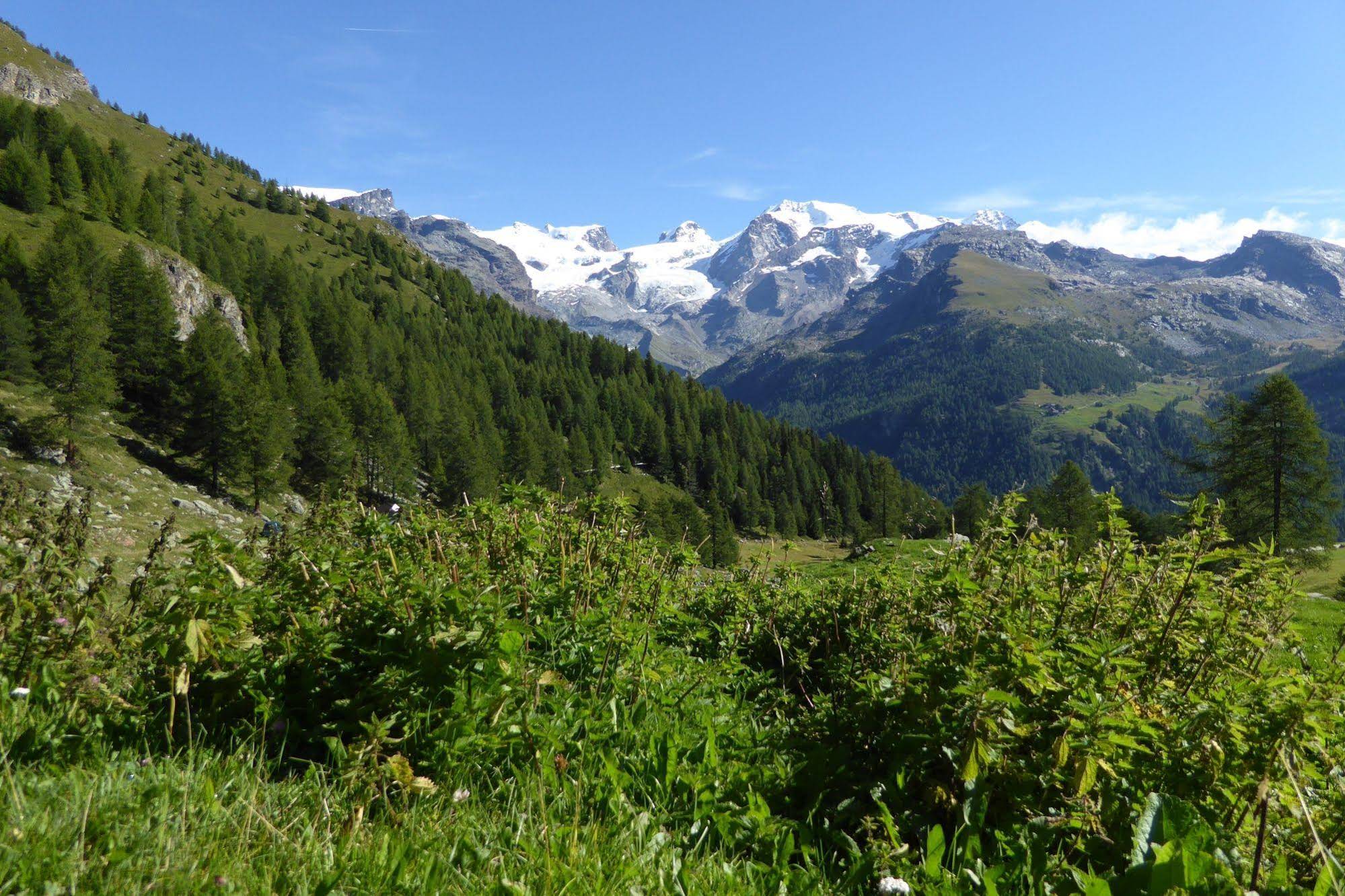 Residence Le Chalet