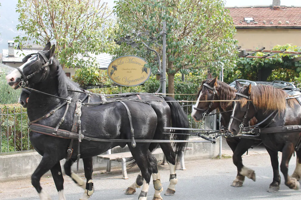La Maison Des Vignerons