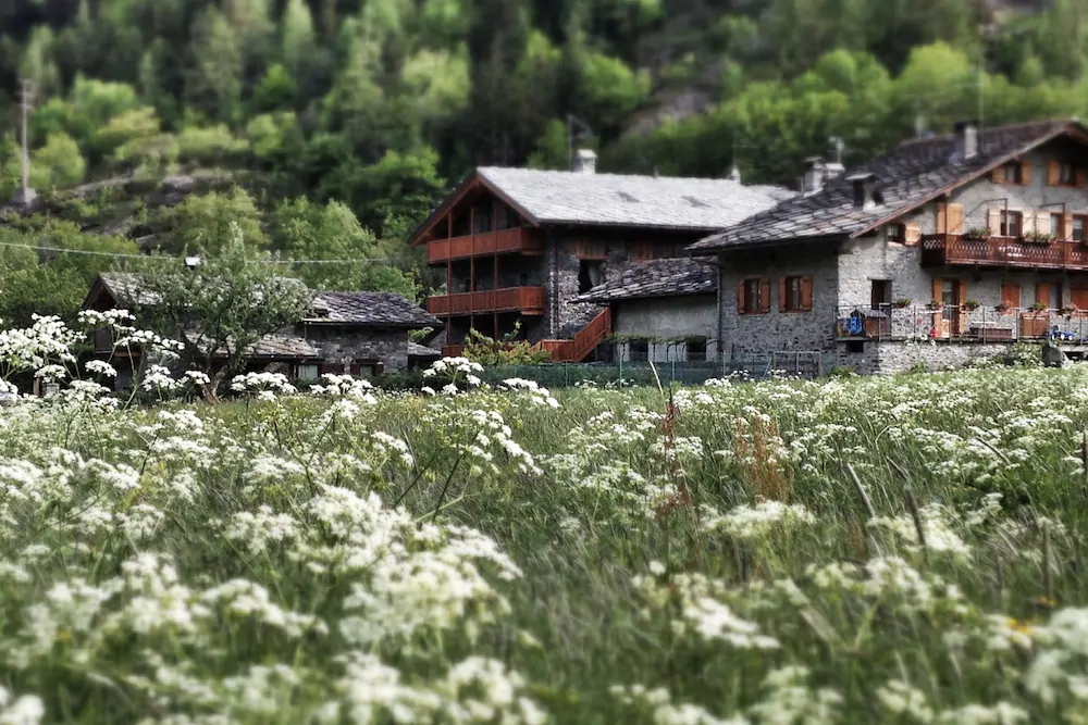 Le Petit Coeur Residence De Montagne