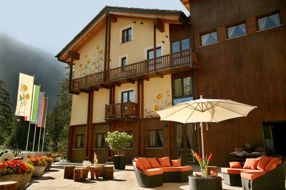 Boton D'Or