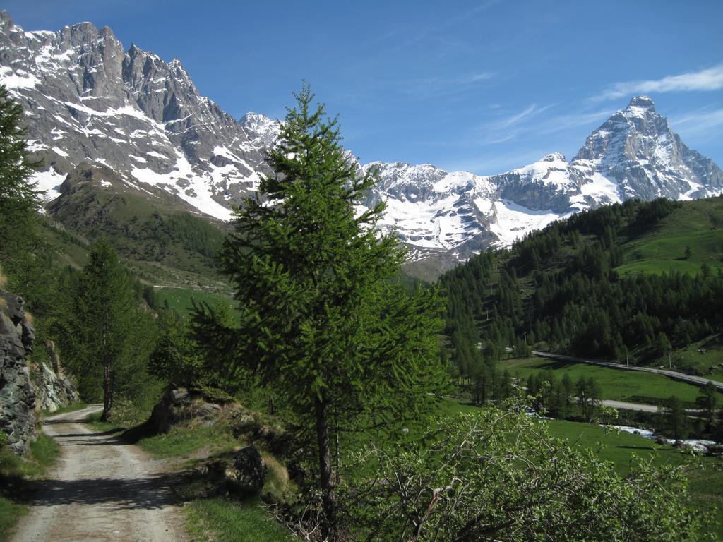 Meridiana