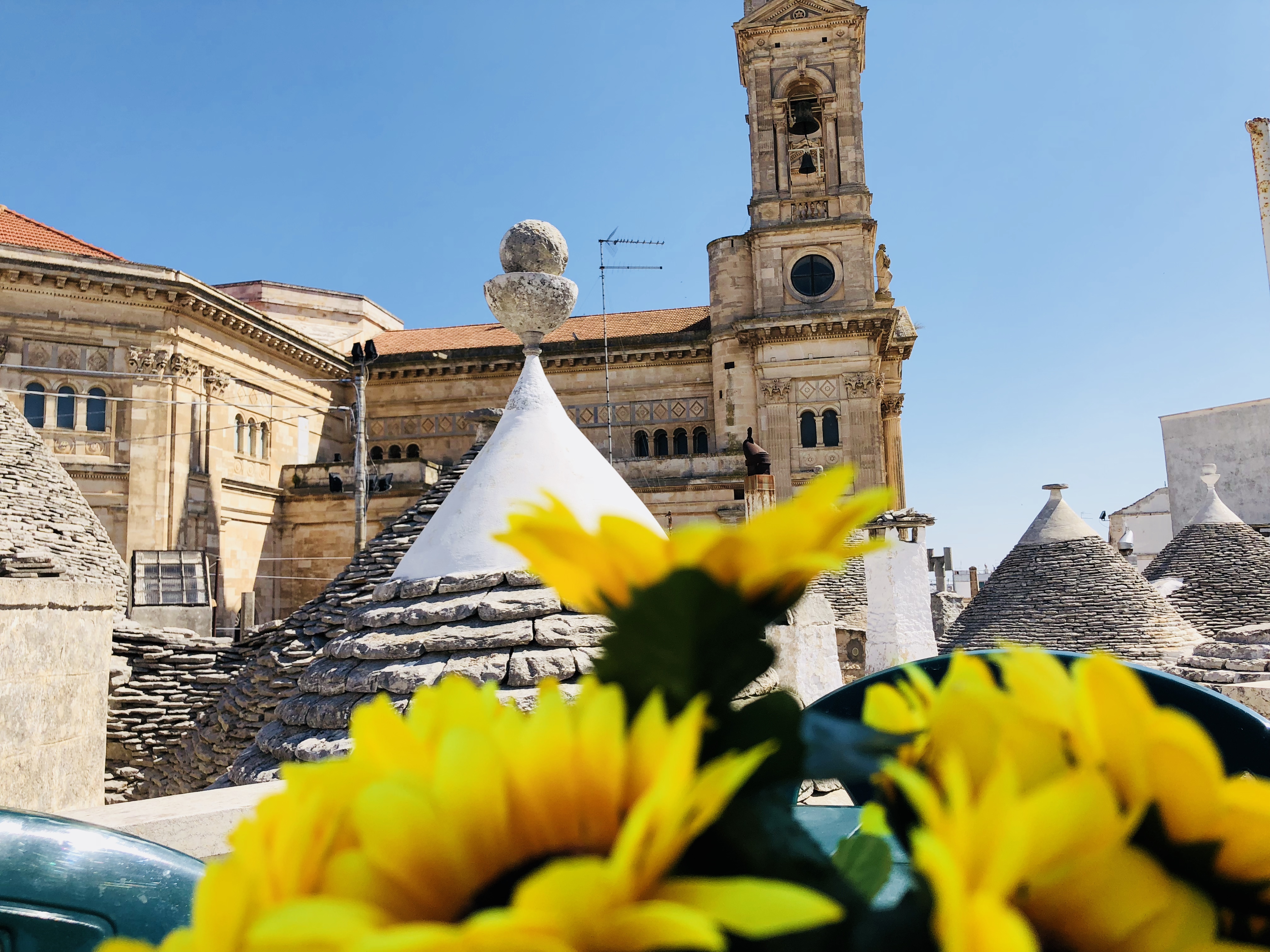 Trulli Fenice di Michele Castellana
