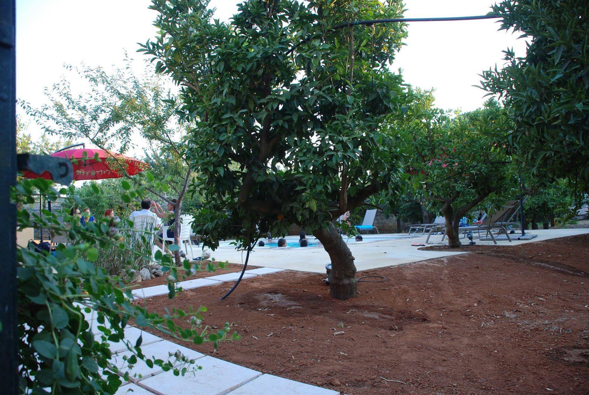 B&B Villarancia