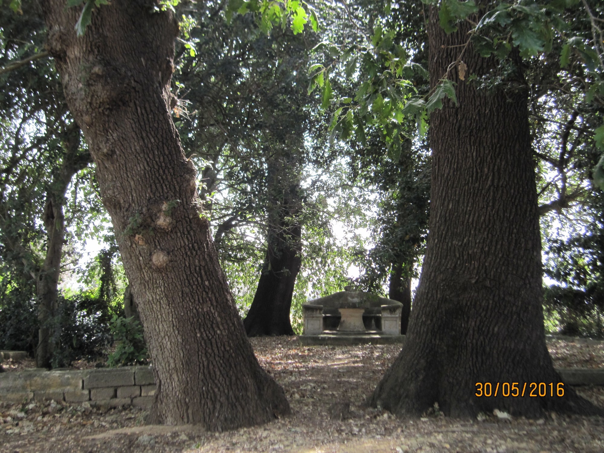 Villa Teseo