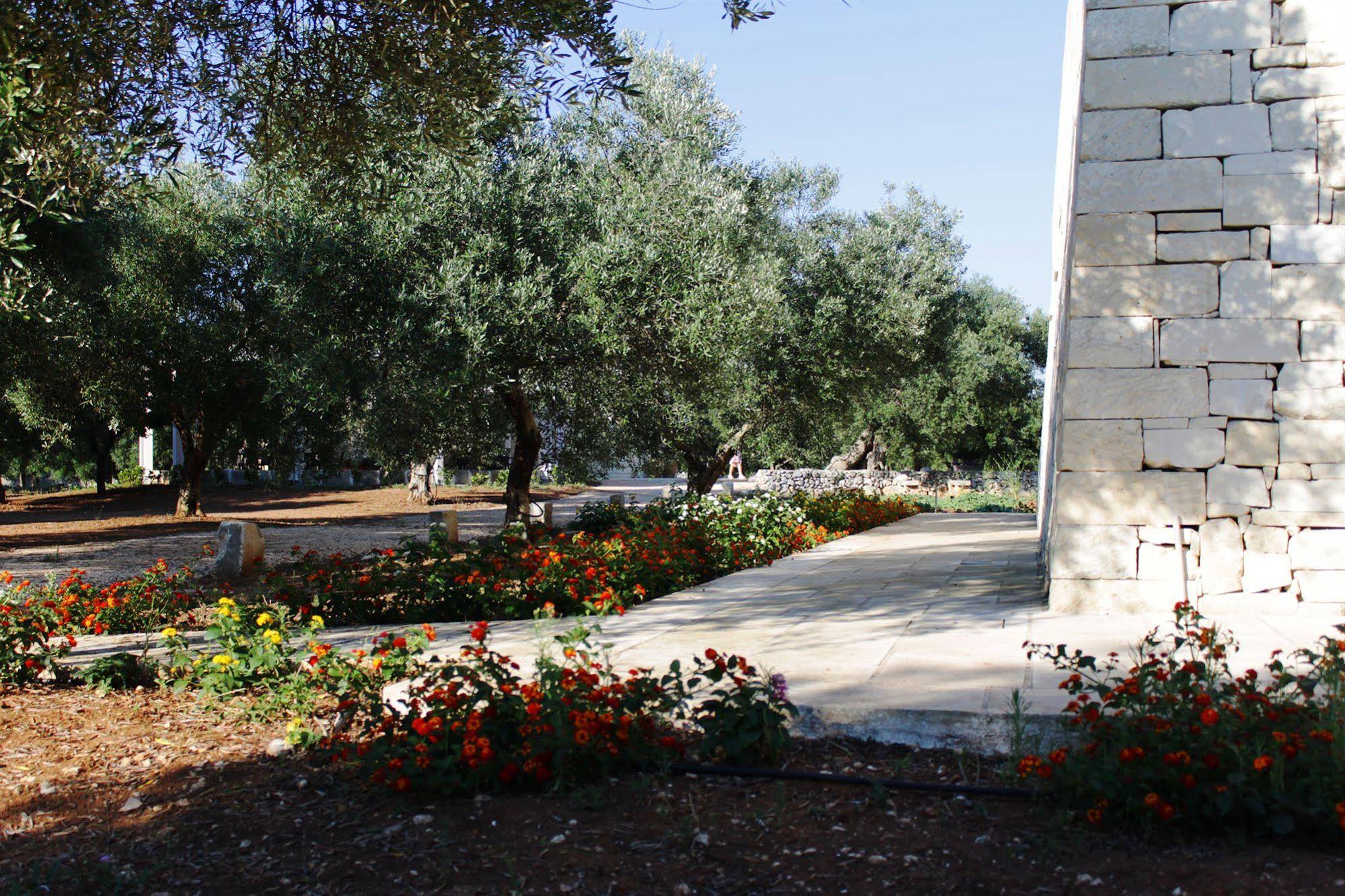 Tenuta Pigliano