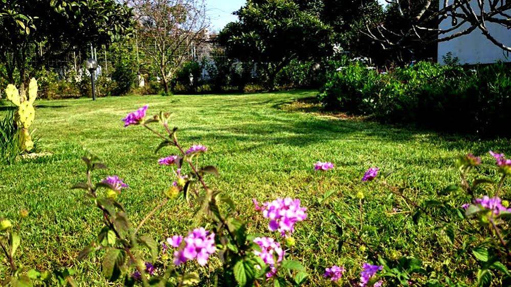 Terra Diletta B&b