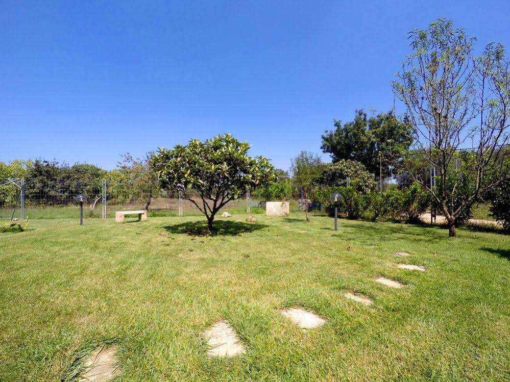 Terra Diletta B&b