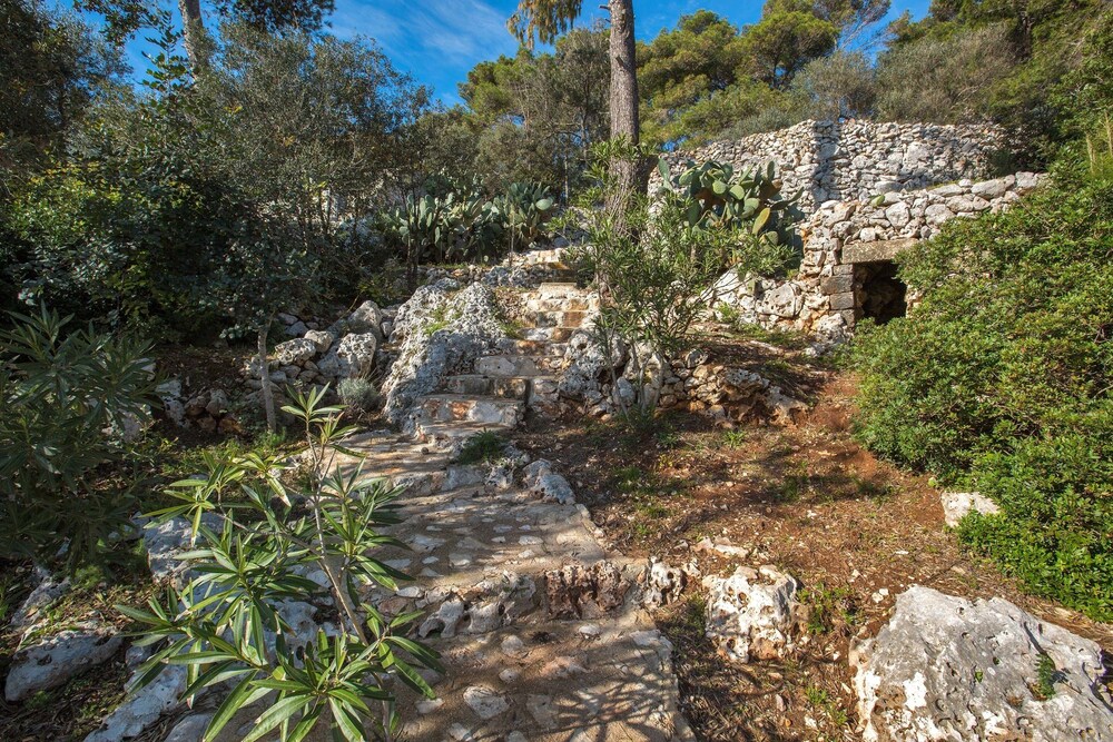 Pajara Acquaviva