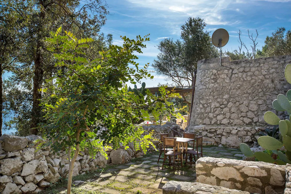 Pajara Acquaviva