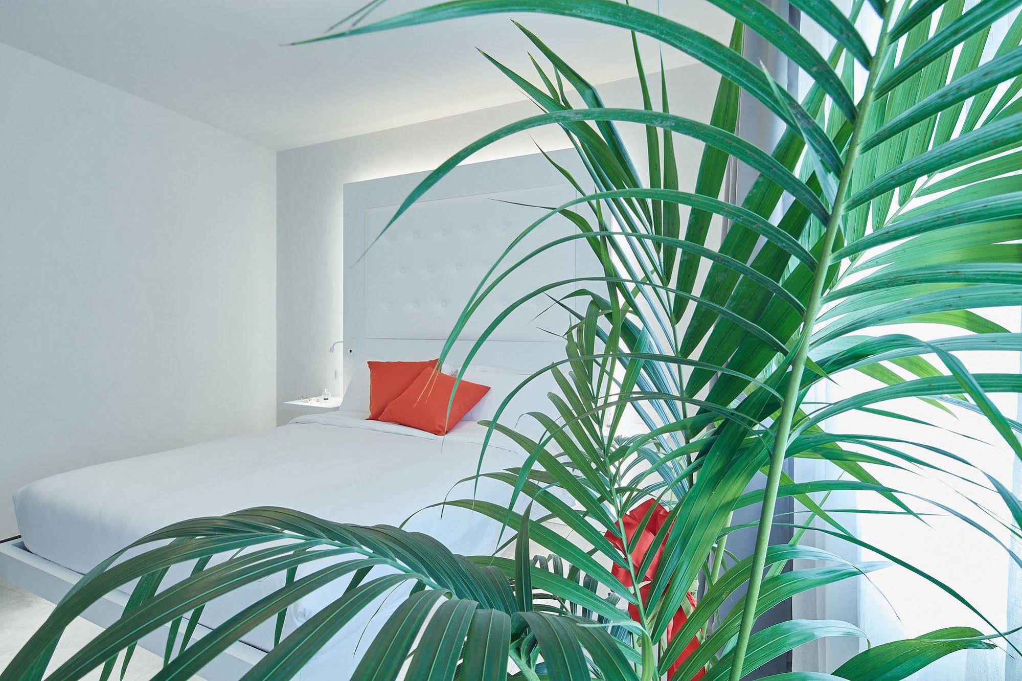 Via Roma 25 B&B