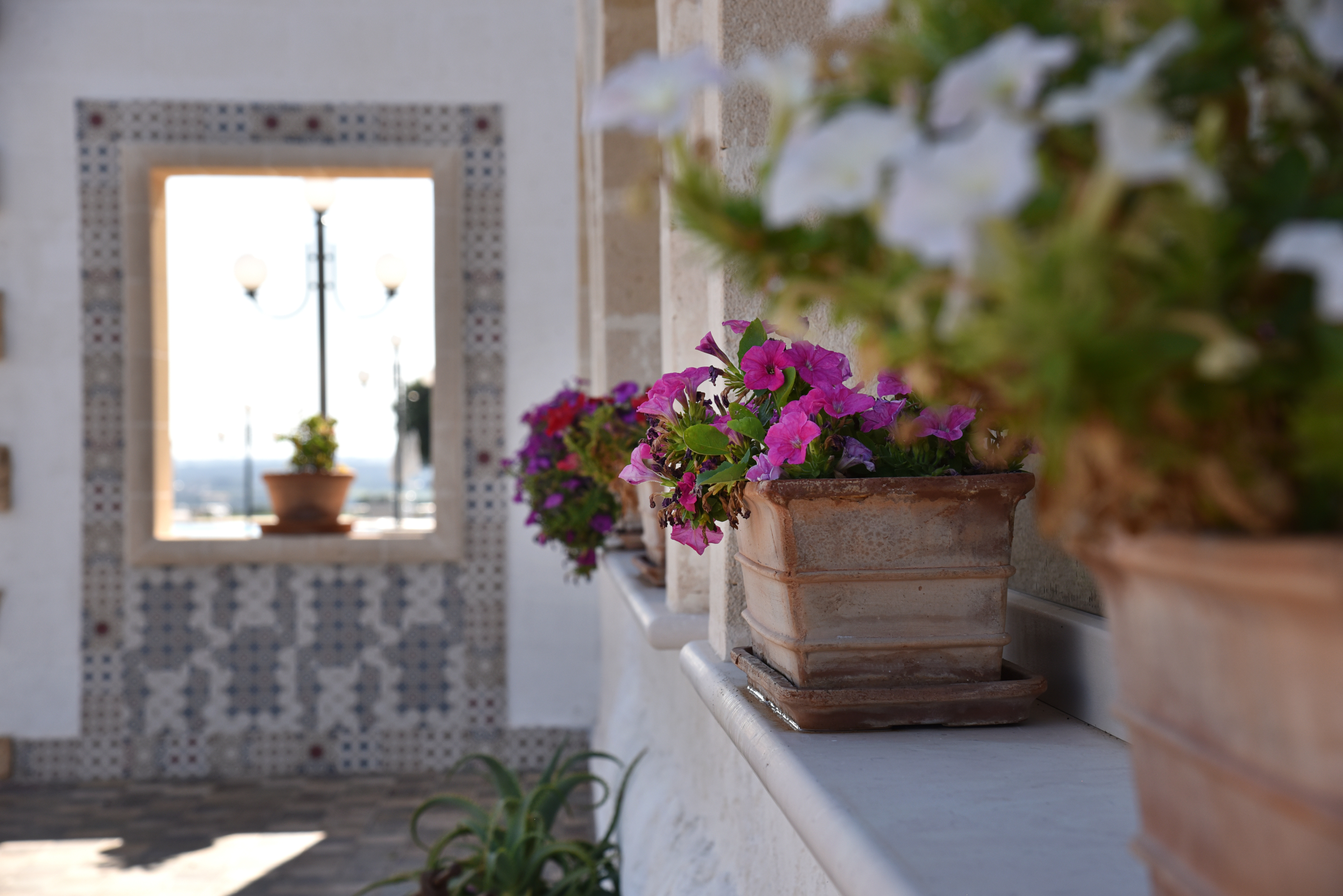 Masseria Celidonia