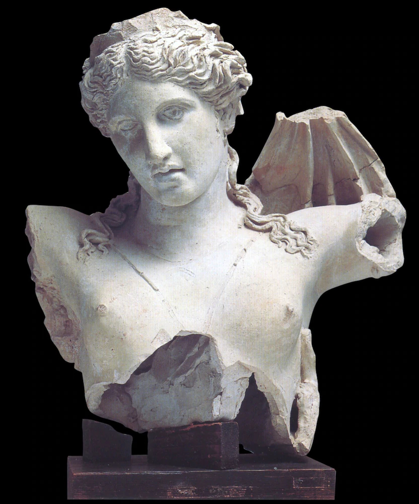 Le foglie di Acanto