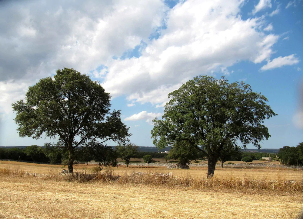 La Casa degli Uccellini Bio Agriturismo
