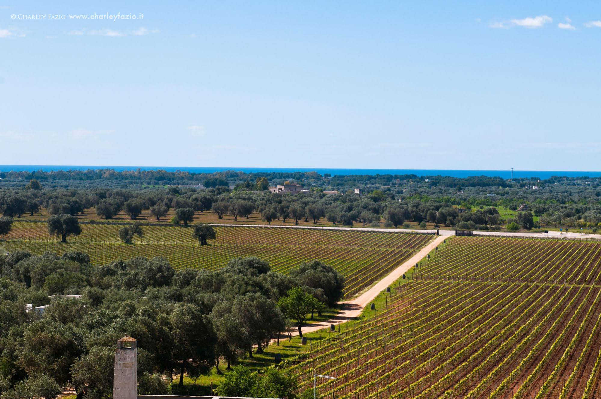 Masseria Le Fabriche